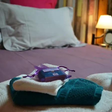 לינה וארוחת בוקר Les Terrasses De Bessou